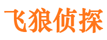 汉川市婚外情调查